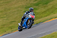 PJ-Motorsport-2019;anglesey-no-limits-trackday;anglesey-photographs;anglesey-trackday-photographs;enduro-digital-images;event-digital-images;eventdigitalimages;no-limits-trackdays;peter-wileman-photography;racing-digital-images;trac-mon;trackday-digital-images;trackday-photos;ty-croes